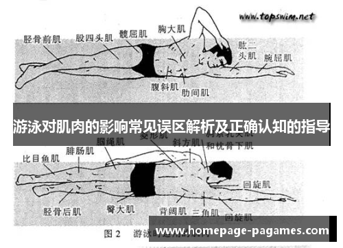 游泳对肌肉的影响常见误区解析及正确认知的指导