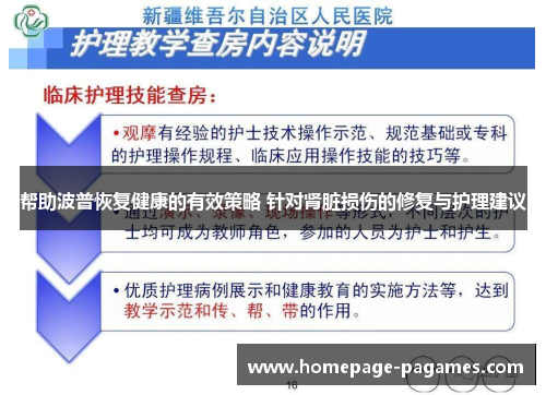 帮助波普恢复健康的有效策略 针对肾脏损伤的修复与护理建议