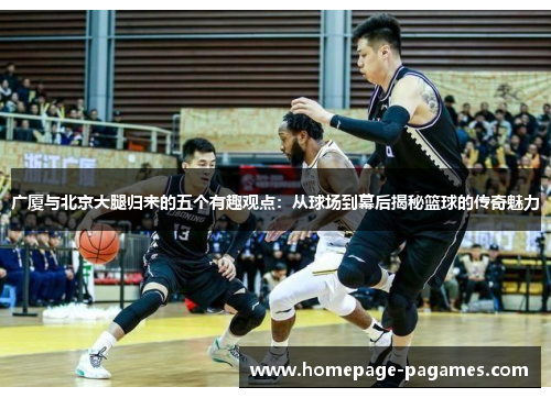 广厦与北京大腿归来的五个有趣观点：从球场到幕后揭秘篮球的传奇魅力