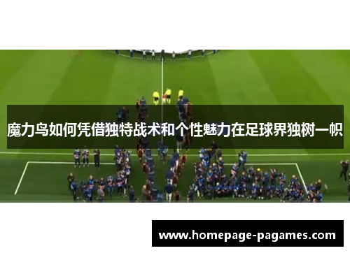魔力鸟如何凭借独特战术和个性魅力在足球界独树一帜