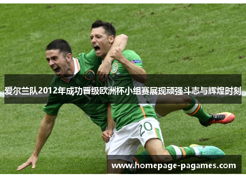 爱尔兰队2012年成功晋级欧洲杯小组赛展现顽强斗志与辉煌时刻