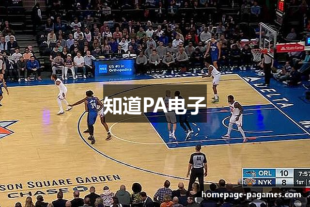 知道PA电子